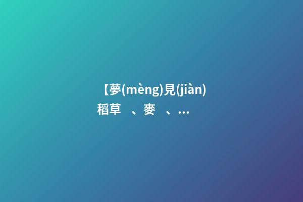 【夢(mèng)見(jiàn)稻草、麥、禾苗】